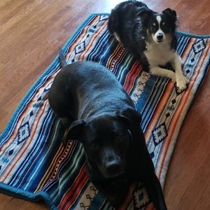 Meet your Posher, Casi